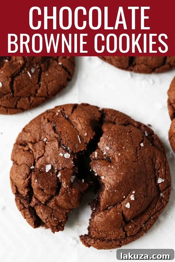 Decadent Chocolate Brownie Cookies 6 A perfectly baked chocolate brownie cookie with a hint of sea salt, ready to be enjoyed.
