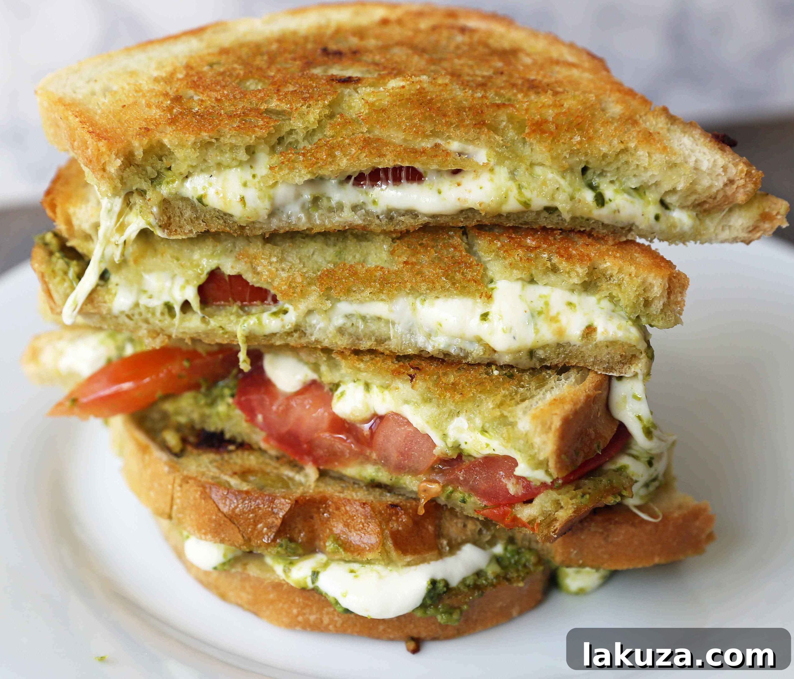 Gourmet Pesto Caprese Panini 2 Pesto Panini with Fresh Mozzarella and Tomato. A toasted buttery panini with basil pesto, melted fresh mozzarella cheese, and juicy tomatoes. A delicious and easy grilled sandwich recipe.