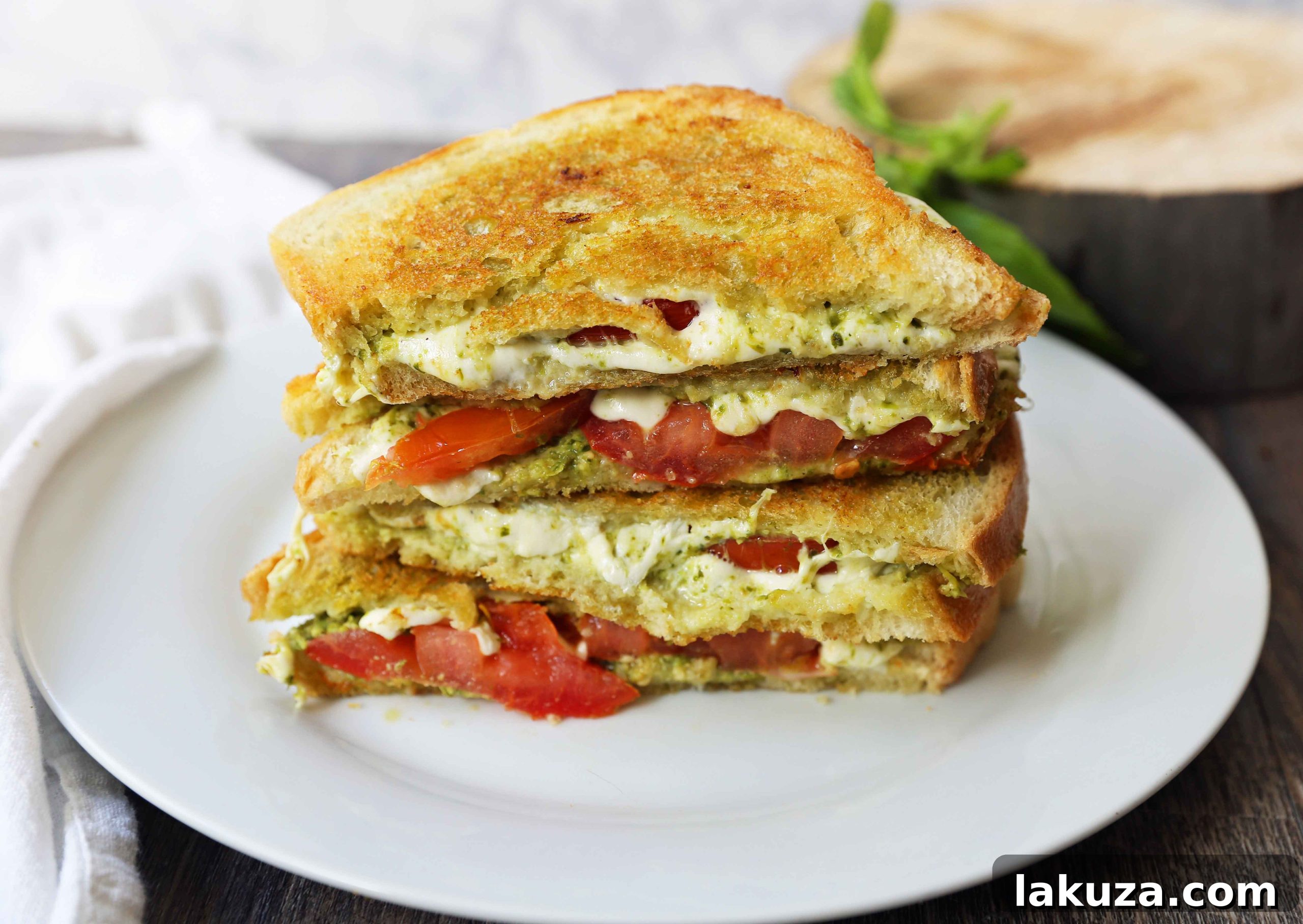 Gourmet Pesto Caprese Panini 3 Pesto Panini with Fresh Mozzarella and Tomato. A toasted buttery panini with basil pesto, melted fresh mozzarella cheese, and juicy tomatoes. A quick and easy recipe for a gourmet grilled sandwich.