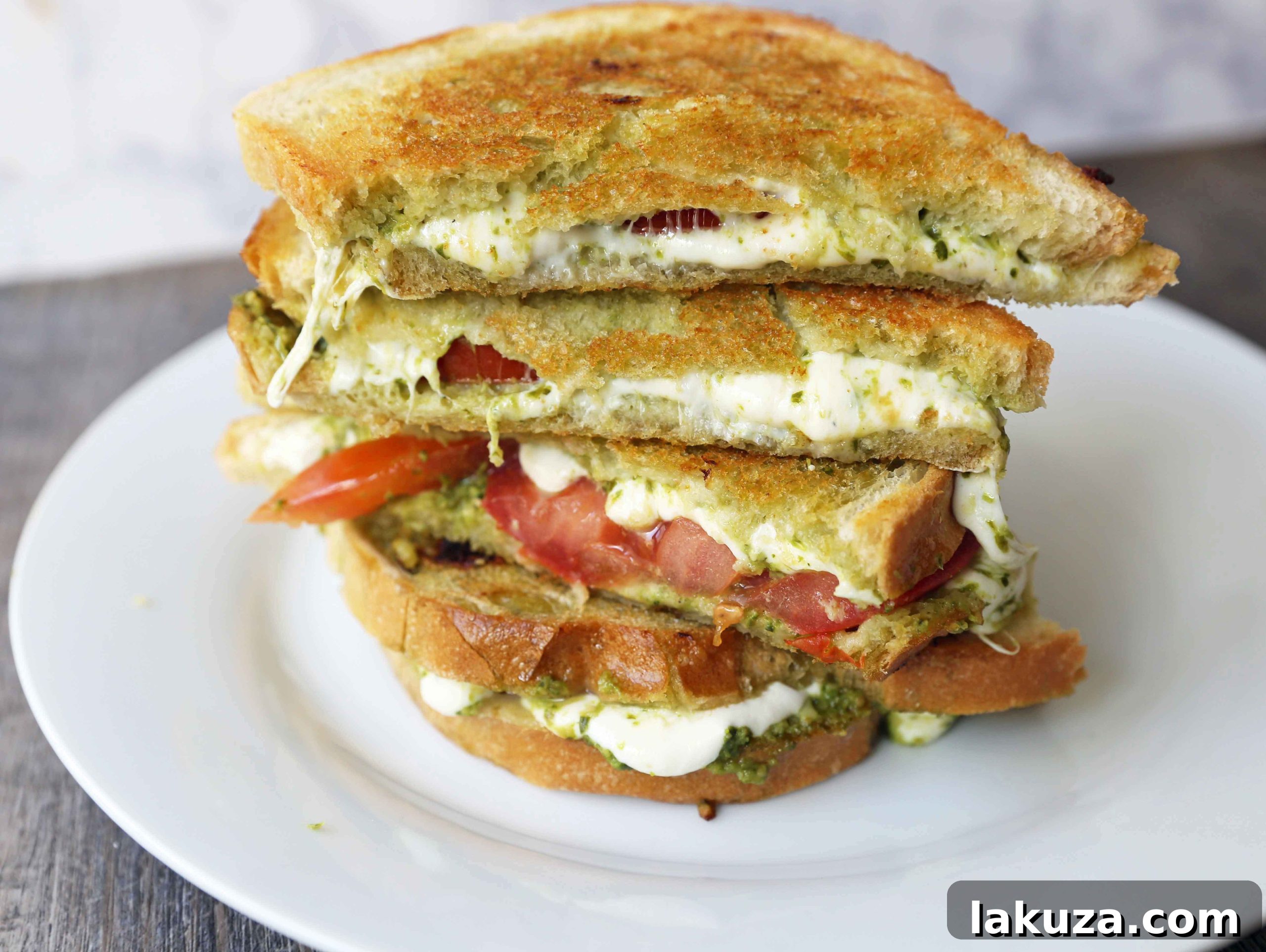 Gourmet Pesto Caprese Panini 4 Pesto Panini with Fresh Mozzarella and Tomato. A toasted buttery panini with basil pesto, melted fresh mozzarella cheese, and juicy tomatoes. A close-up of a delicious grilled sandwich.