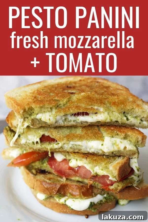 Gourmet Pesto Caprese Panini 5 Pesto Panini with Fresh Mozzarella and Tomato. A toasted buttery panini with basil pesto, melted fresh mozzarella cheese, and juicy tomatoes. A close-up of a delicious grilled sandwich, ready to eat.