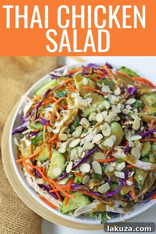 Overhead view of the freshly prepared Thai Chicken Salad with peanut dressing.