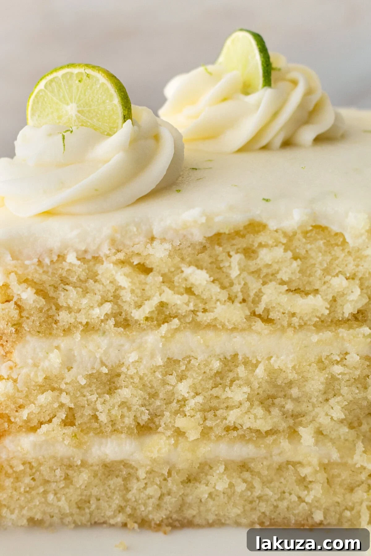 Zesty Key Lime Indulgence 3 Moist key lime cake with sweet cream cheese frosting. A light and fluffy citrus lime cake with the perfect lime buttercream frosting! This is the best lime cake recipe!