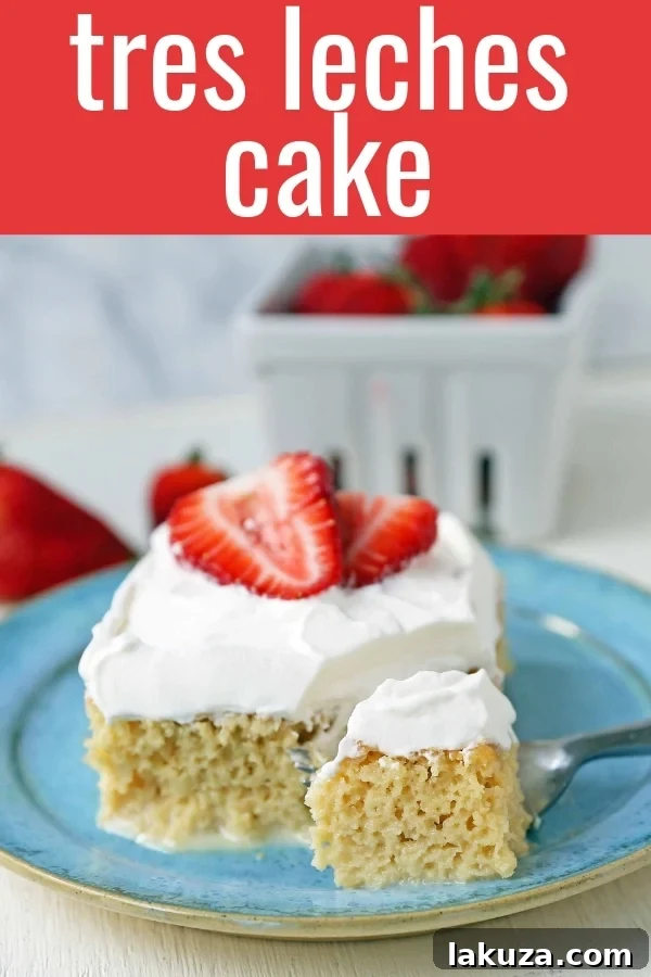 Tres Leches Cake. A classic Mexican dessert made with a vanilla sponge cake soaked with three kinds of milk -- heavy cream, evaporated milk and sweetened condensed milk and topped with whipped cream.  www.modernhoney.com #treslechescake #threemilkcake #cincodemayo