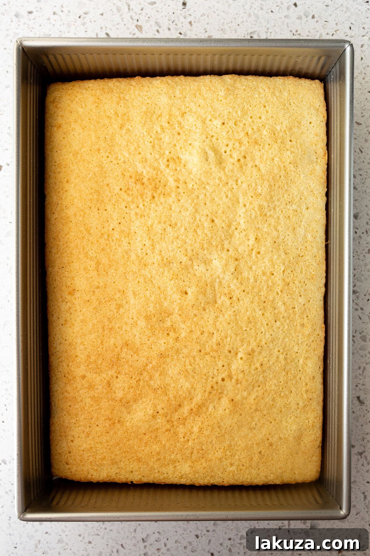 Baked sponge cake for tres leches cake.