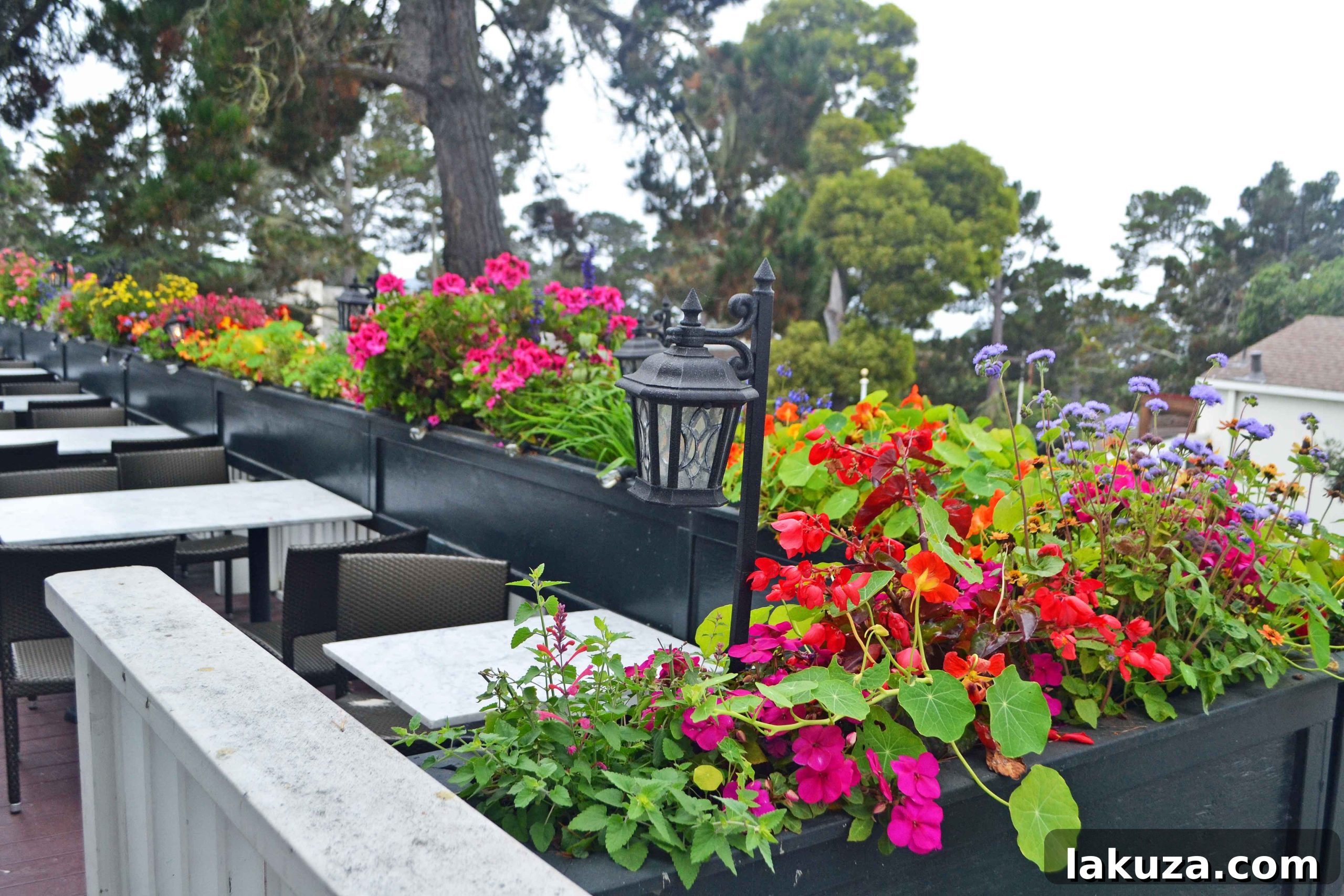 Ultimate California Pacific Coast Highway 1 Road Trip 21 California Pacific Coast Highway 1 Road Trip Guide. Downtown Carmel by the Sea. Il Fornaio Flower Boxes.