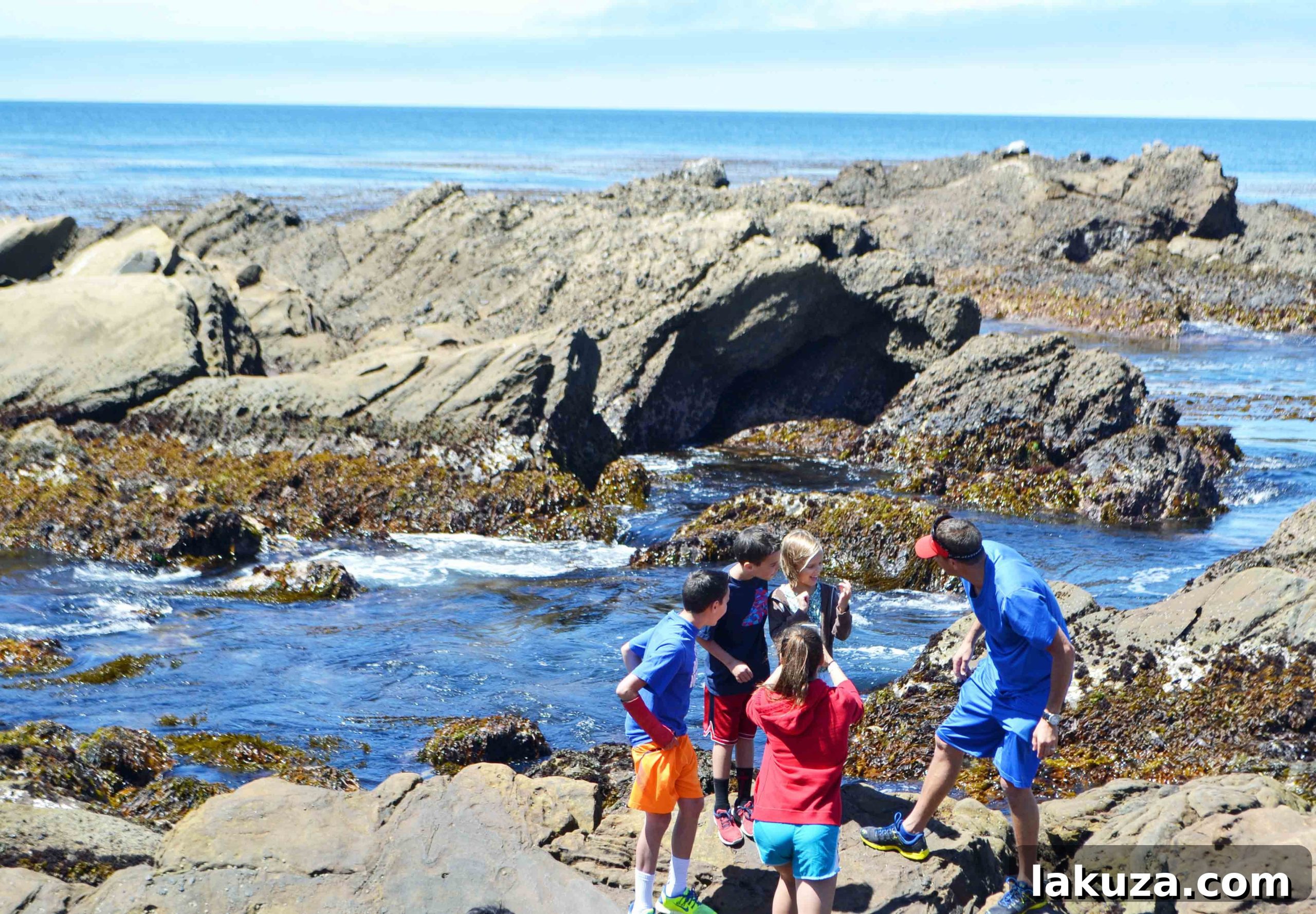 Ultimate California Pacific Coast Highway 1 Road Trip 23 Tide Pools Point Lobos California Pacific Coast Highway 1 Road Trip