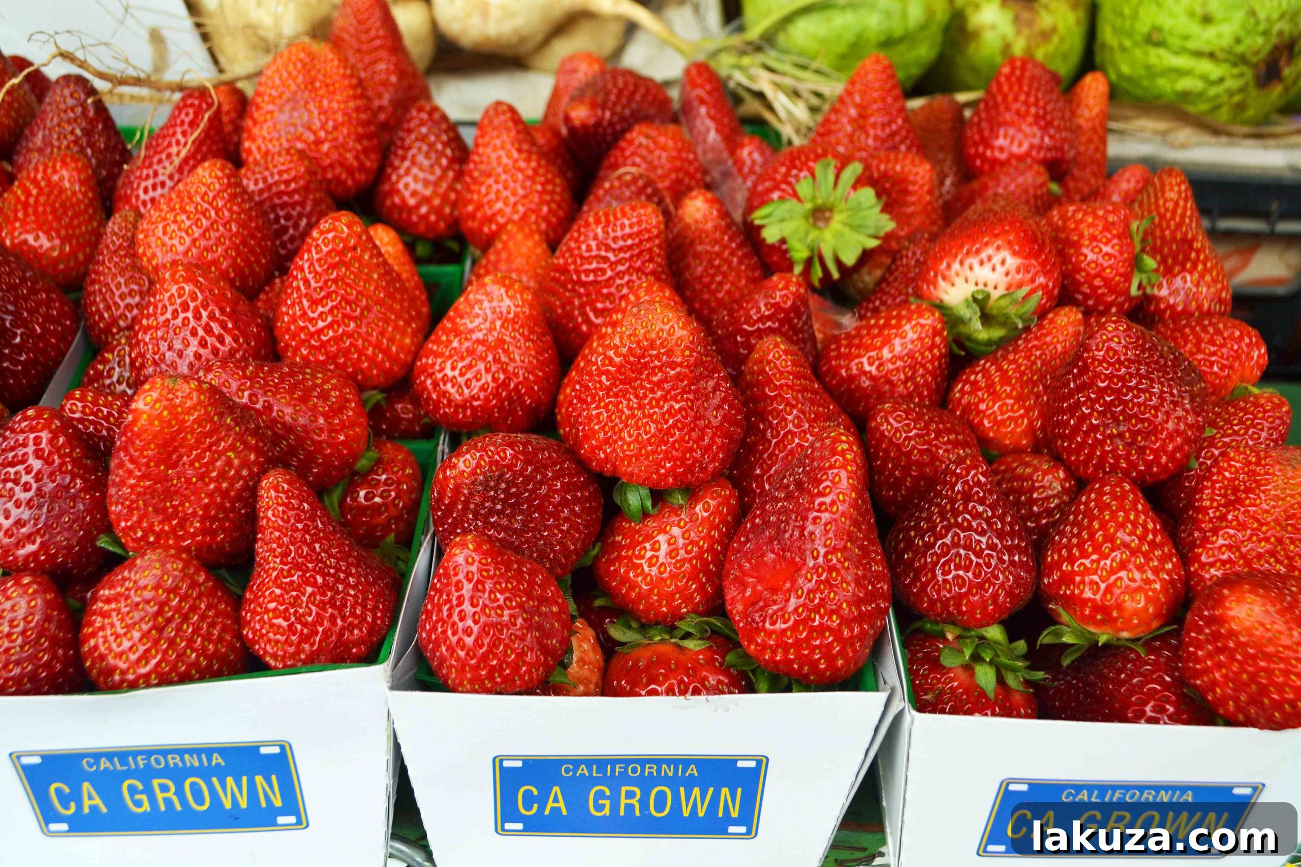 Ultimate California Pacific Coast Highway 1 Road Trip 27 California Pacific Coast Highway 1 Road Trip Guide Farmer's Markets