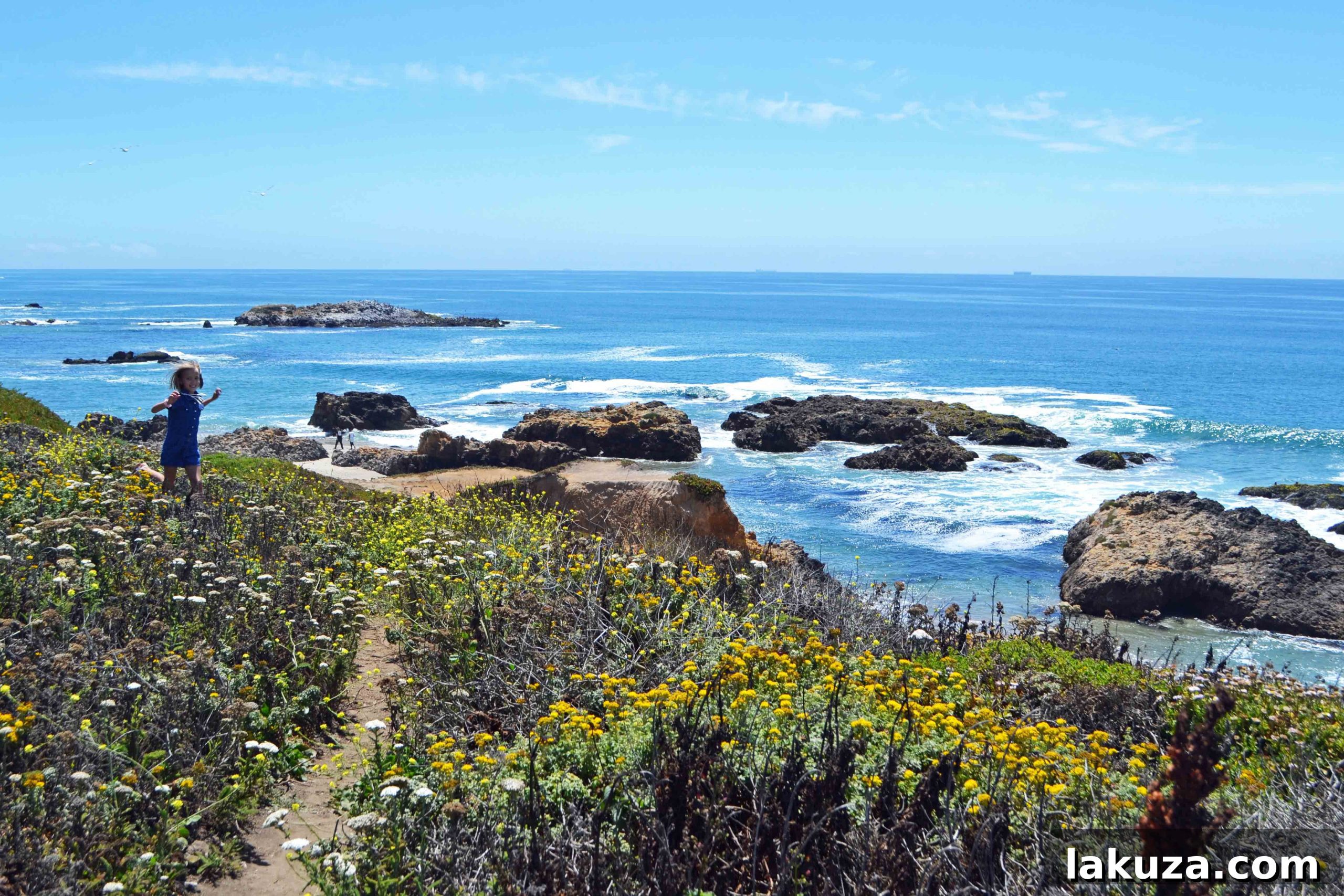 Ultimate California Pacific Coast Highway 1 Road Trip 29 Pescadero Beach California Pacific Coast Highway 1 Road Trip Guide by Modern Honey. www.modernhoney.com
