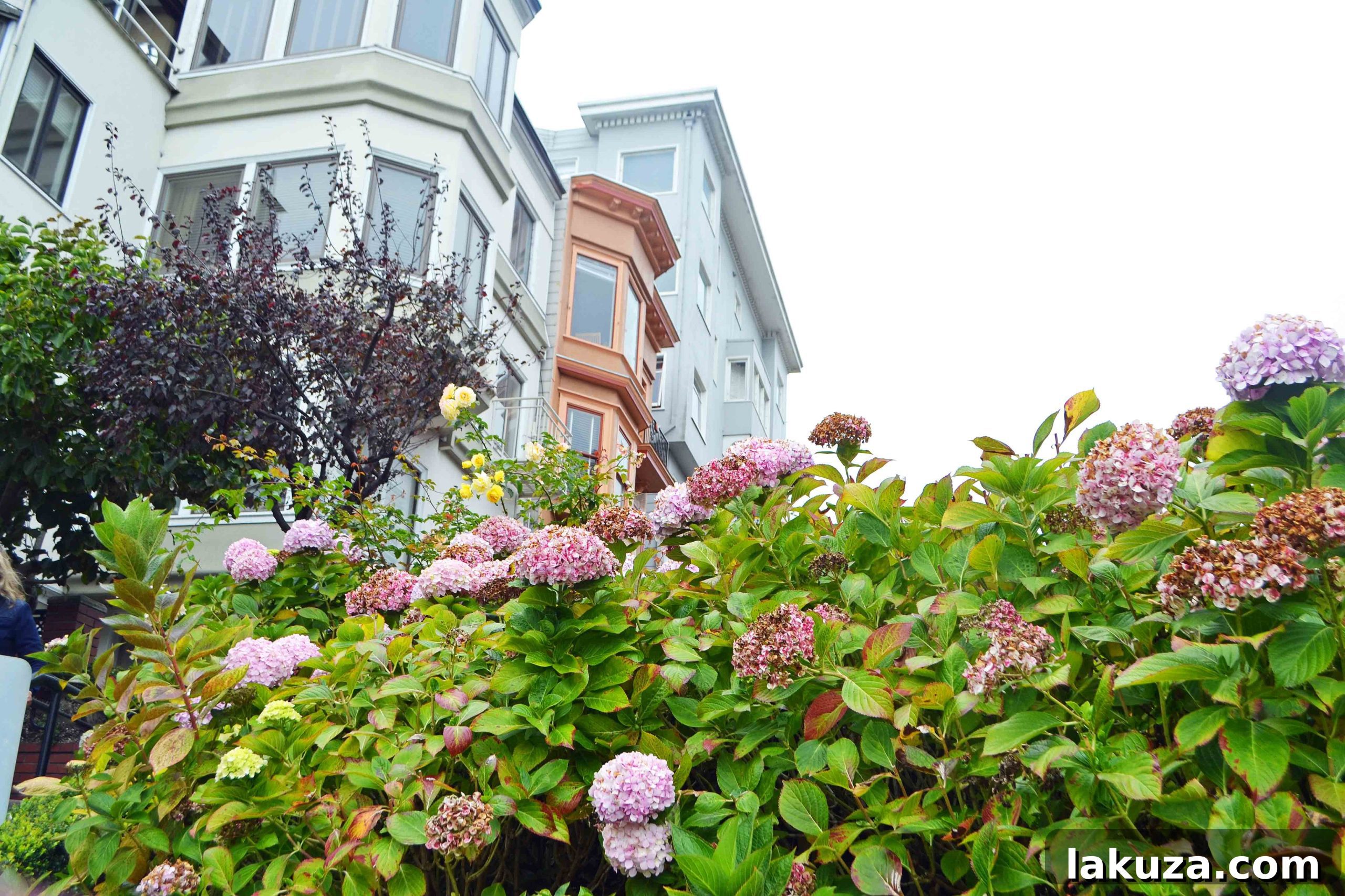 Ultimate California Pacific Coast Highway 1 Road Trip 37 California Pacific Coast Highway 1 Road Trip Guide - San Francisco Lombard Street
