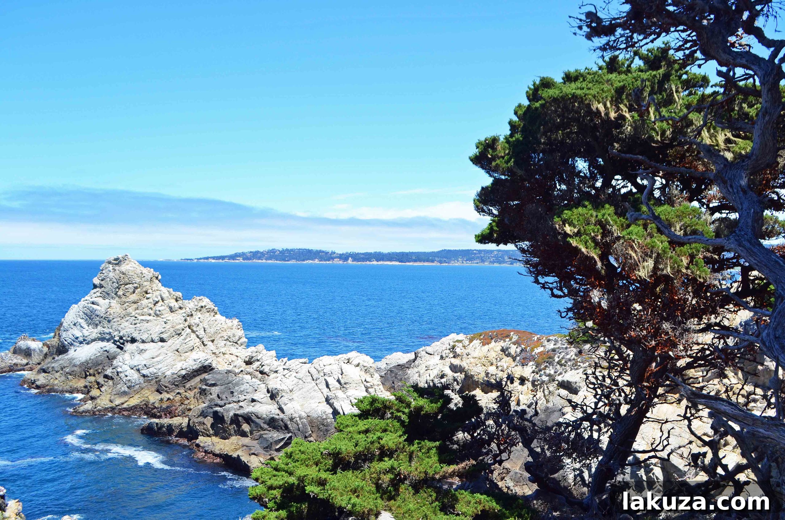 Ultimate California Pacific Coast Highway 1 Road Trip 52 Point Lobos Reserve California Pacific Coast Highway 1 Road Trip Guide
