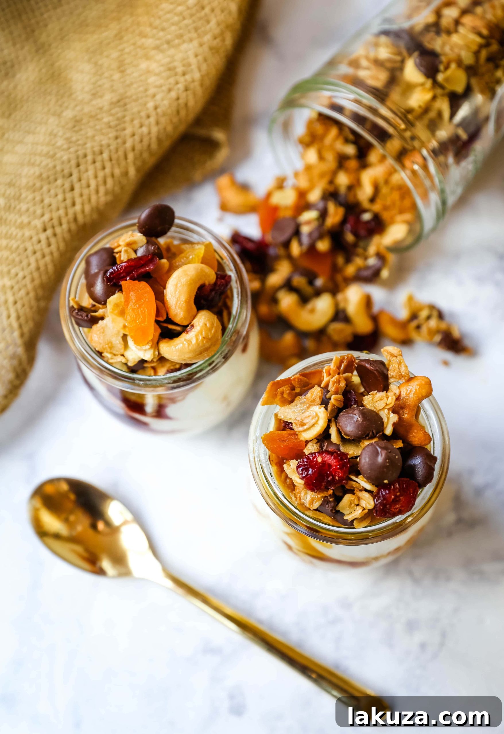 Tropical Chocolate Coconut Crunch 2 Delicious Chocolate Coconut Granola with Cashews, Dried Cranberries, Apricots, Almonds, Coconut Flakes, and Chocolate Chips
