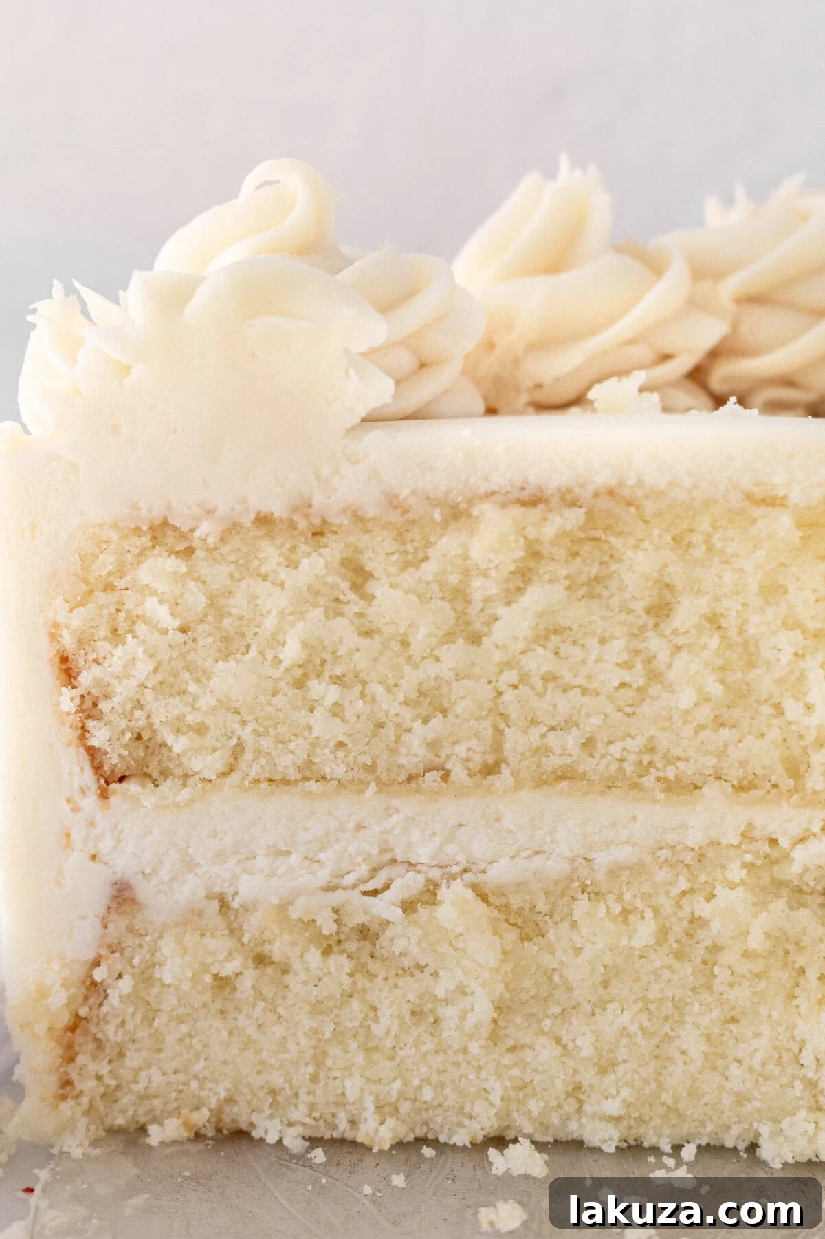 Close-up of a vanilla cake slice revealing its tender crumb and creamy frosting.