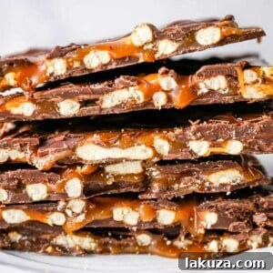 Chocolate Caramel Pretzel Bark. An easy homemade chocolate candy treat made with homemade salted caramel, salty pretzels, and creamy milk and semi-sweet chocolate. The perfect salty sweet combination!