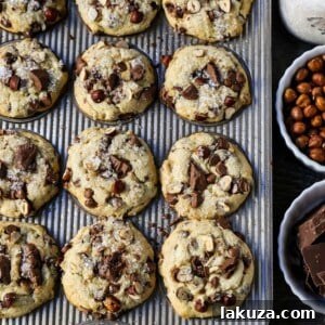 Decadent Hazelnut Chocolate Muffins 10 The Best Chocolate Chip Muffins. Chocolate Chunk Hazelnut Muffins with rich chocolate chips and crunchy hazelnuts. A gourmet bakery style muffin recipe.