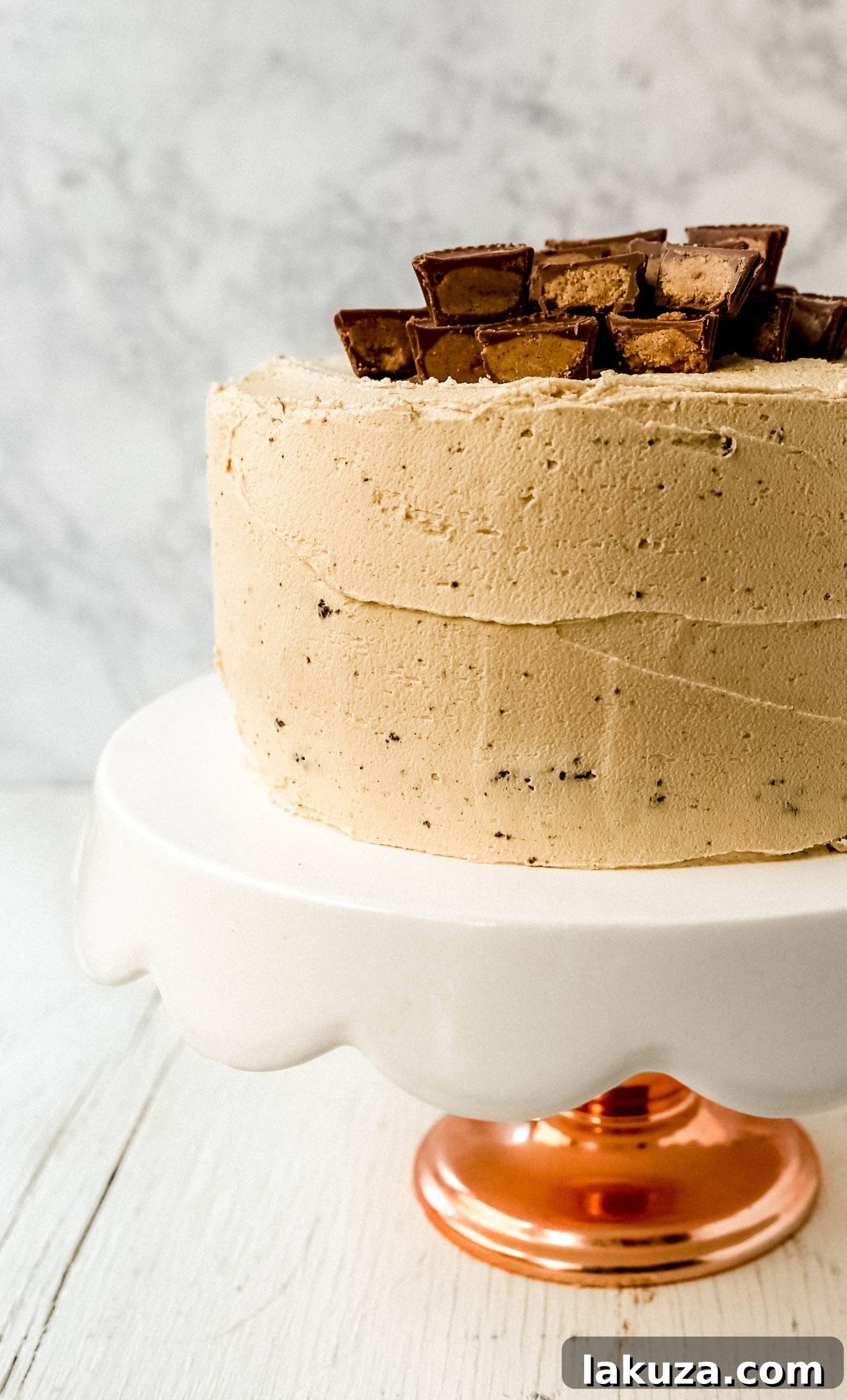A slice of Chocolate Peanut Butter Cake, showing the distinct layers of chocolate cake and creamy peanut butter frosting.