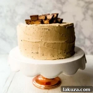 Chocolate Cake with Peanut Butter Frosting