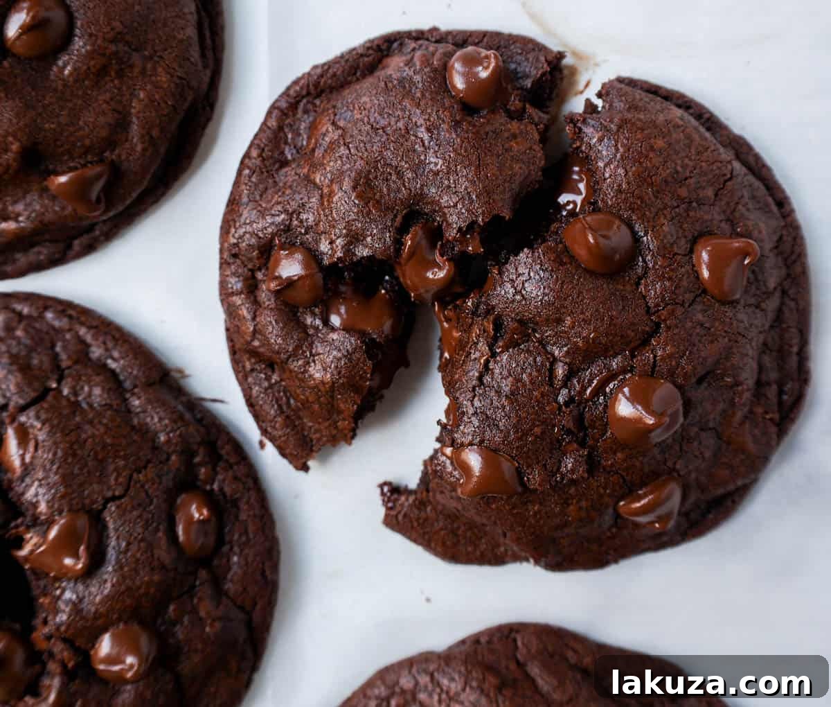 A delectable double chocolate chip cookie featuring a rich, dark cocoa base and an abundance of melty chocolate chips, promising a soft, chewy, and intensely fudgy experience.