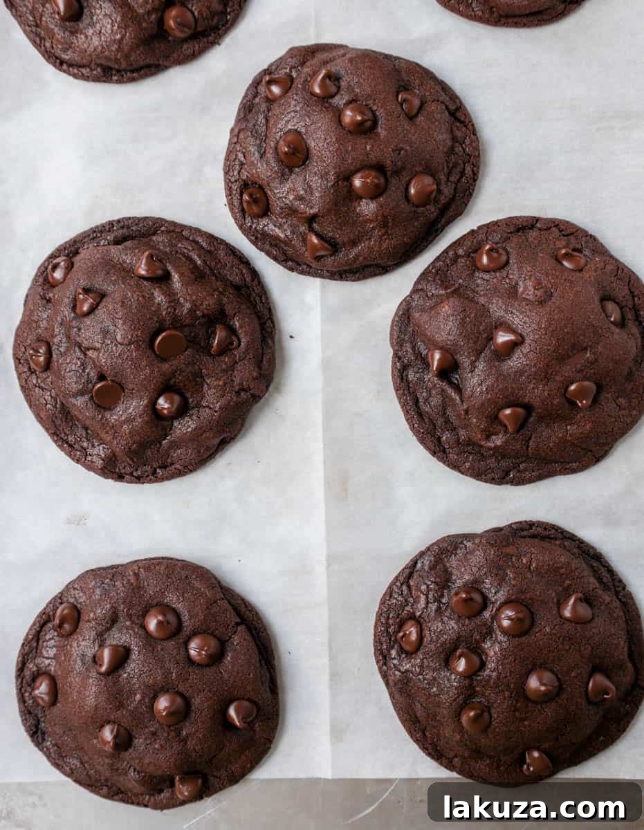 Freshly baked double chocolate chip cookies cooling on parchment paper on a light-colored baking sheet, emphasizing the importance of proper equipment for even baking.