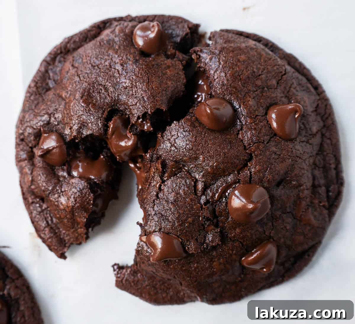 A close-up of a soft, fudgy double chocolate cookie with visible melted chocolate chips, illustrating the perfect texture achieved by following the best homemade chocolate cookie recipe.