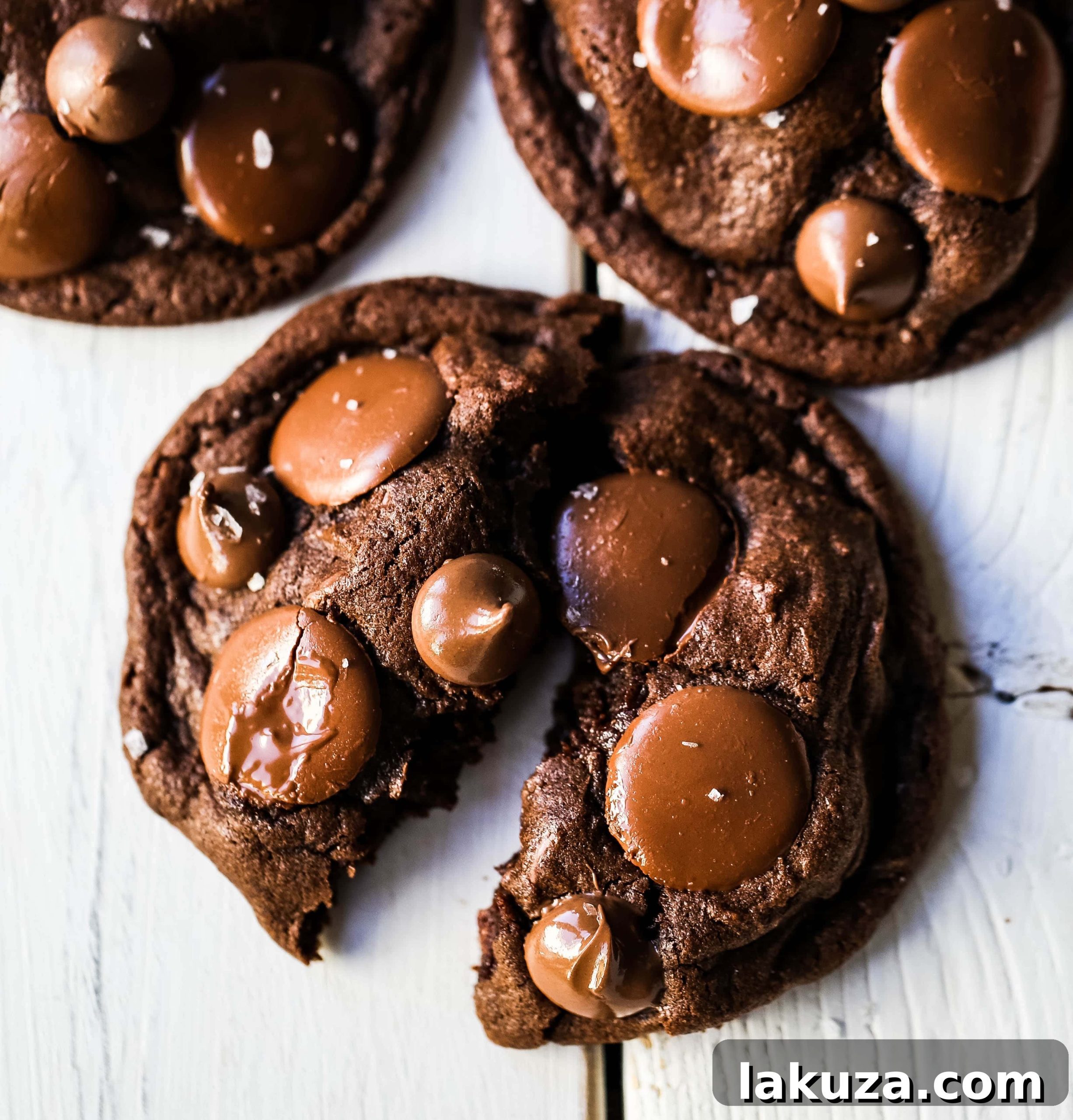 A large, soft, and fudgy double chocolate cookie with generous melted chocolate chunks, embodying the perfect homemade chocolate cookie recipe, rich and decadent.