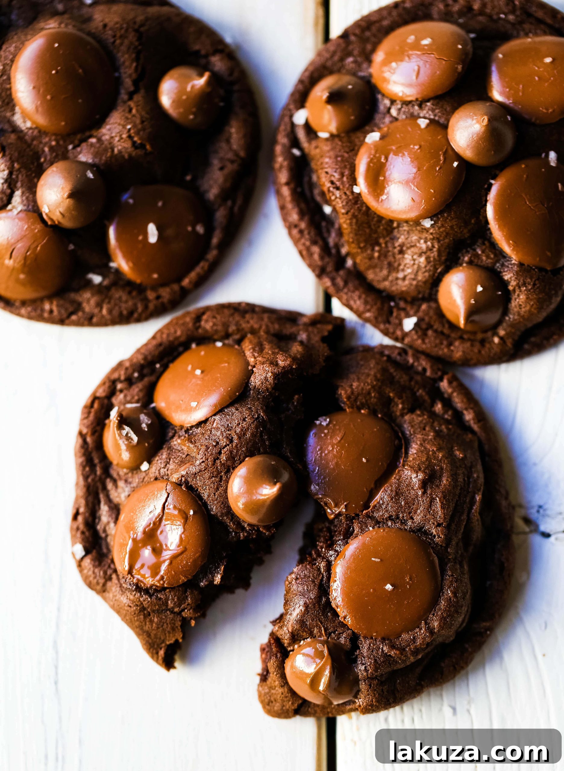 A warm, freshly baked double chocolate cookie, featuring a dense, fudgy texture and an abundance of rich chocolate chips. This perfect homemade chocolate cookie is truly a chocolate lover's dream.