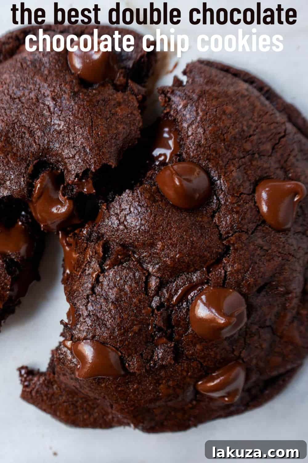 A double chocolate chip cookie split in half, revealing its gooey, melty chocolate interior. This tantalizing image is perfect for pinning and showcases the ultimate homemade double chocolate cookies.