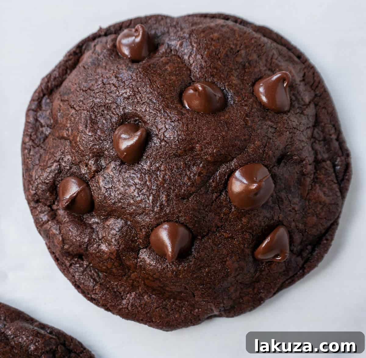 A close-up shot of a baked double chocolate chip cookie, showcasing its irresistible, soft texture and abundant melty chocolate chips, ready to be enjoyed by any chocolate lover.
