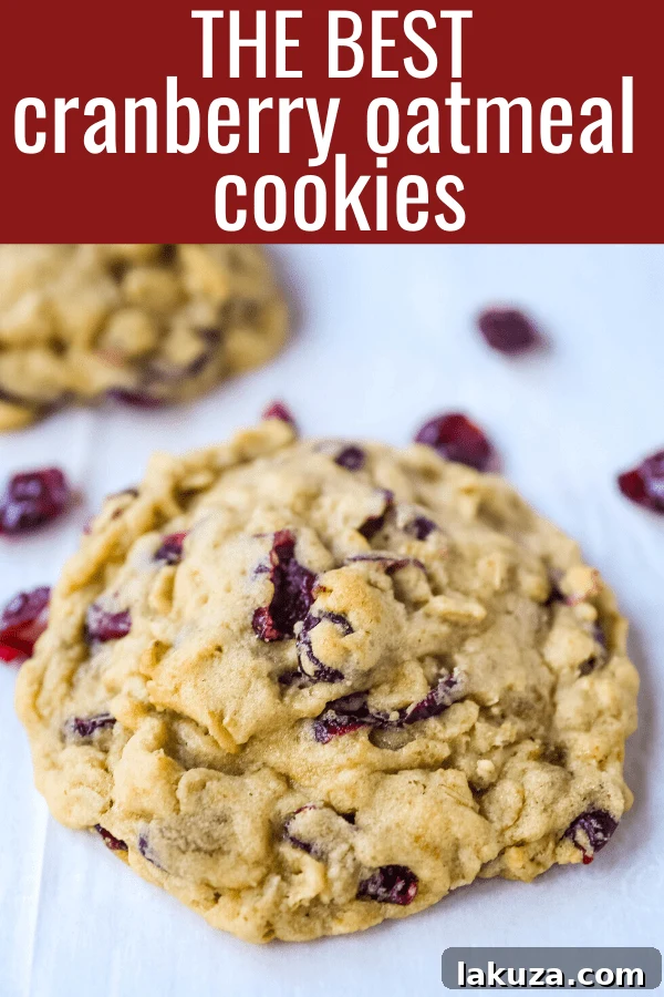 Cranberry Oatmeal Cookies Soft chewy brown sugar oatmeal cookies with sweetened dried cranberries. A chewy and hearty oatmeal cookie that everyone will love! www.modernhoney.com #oatmealcookie #oatmealcookies #cranberryoatmeal #cookie #cookies