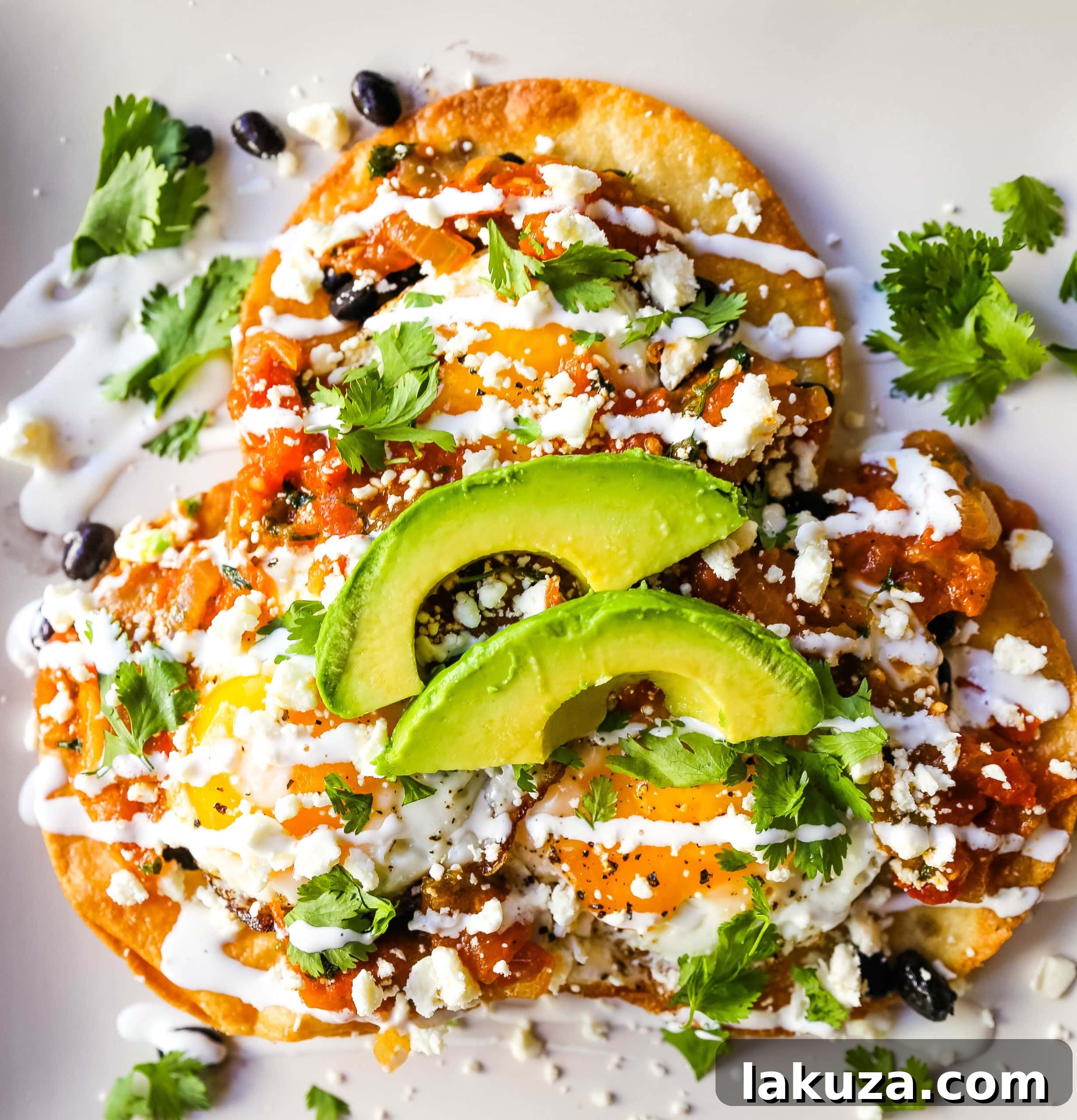 Mexican Ranch Eggs 4 A top-down shot of Huevos Rancheros, beautifully plated with two fried corn tortillas layered with black beans, each topped with a fried egg. The eggs are generously covered with a vibrant red ranchera salsa, adorned with cubes of fresh avocado, crumbled cotija cheese, and chopped cilantro. The dish is presented on a simple white plate, emphasizing the colorful and fresh ingredients, ready to be enjoyed as a hearty Mexican breakfast.