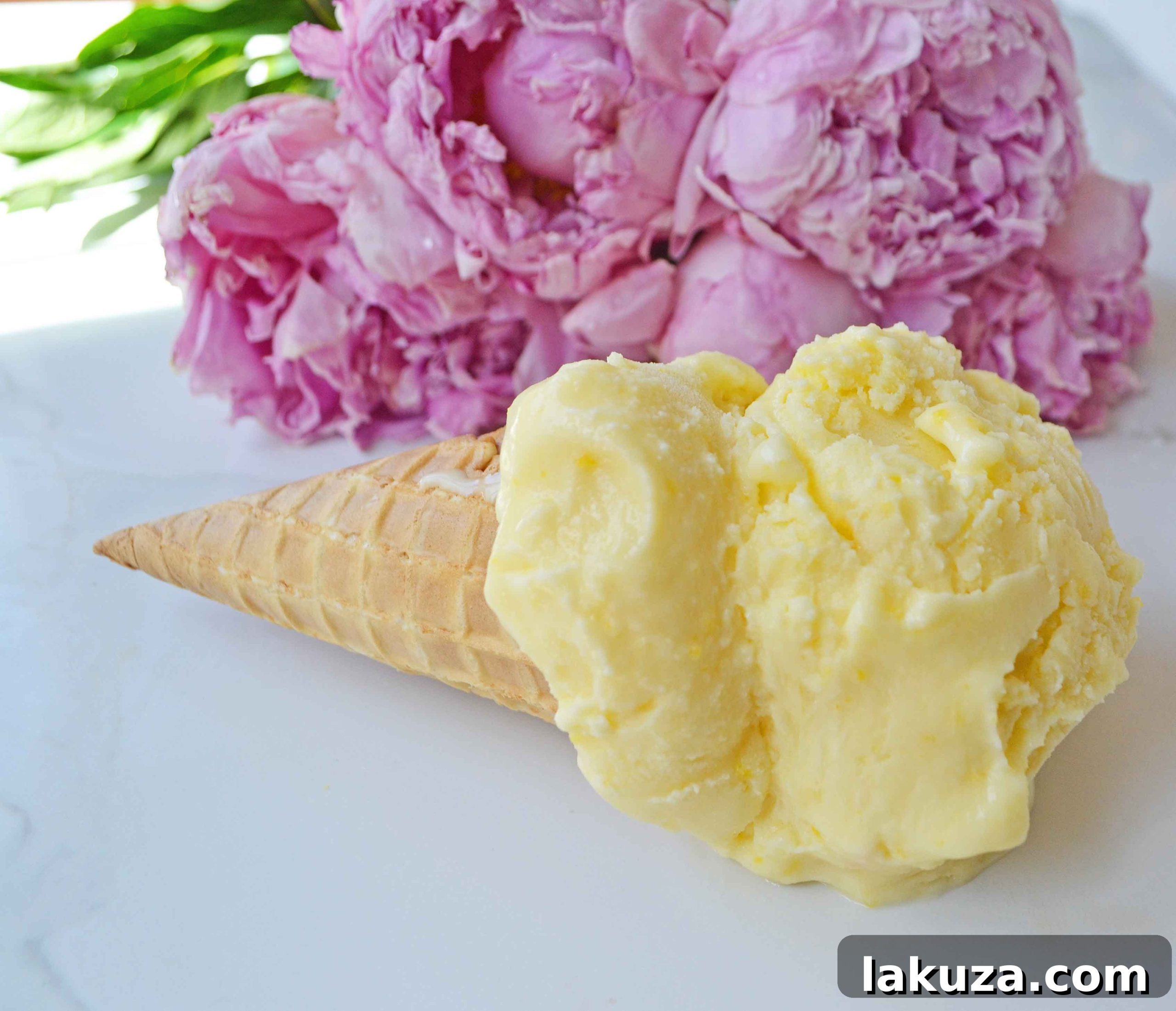 Lemon Zing Darling Delight 3 Lemon Ice Cream. Homemade Lemon Ice Cream Recipe. How to make perfect creamy lemon ice cream. www.modernhoney.com #lemon #lemonicecream #lemondessert