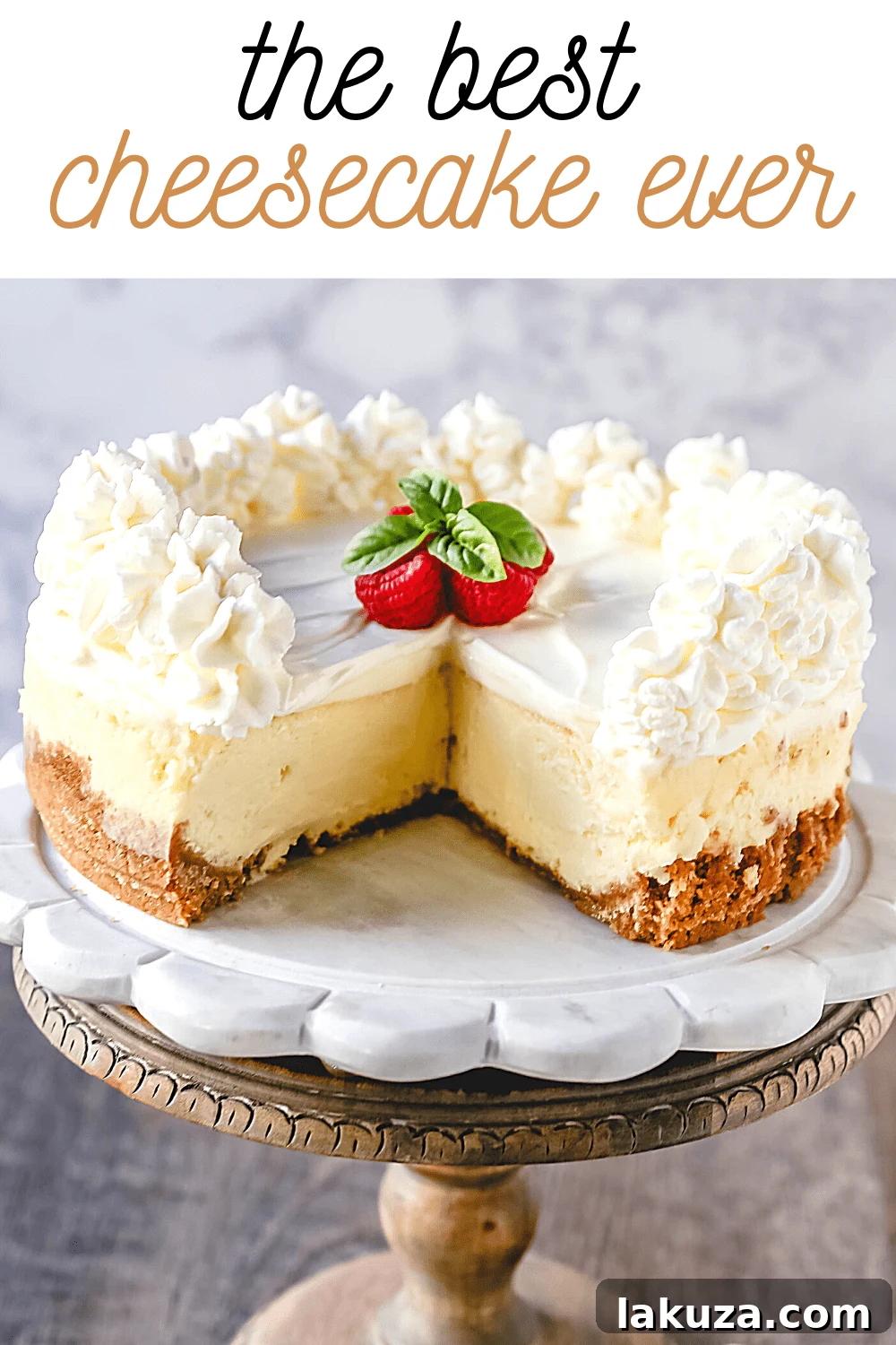Vanilla Bean Cheesecake 10 The Best Cheesecake Recipe: How to make the creamiest, dreamiest, richest vanilla cheesecake with a buttery graham cracker crust. All of the tips and tricks for making the perfect cheesecake! www.modernhoney.com #cheesecake #vanillacheesecake #cheesecakerecipe #dessert