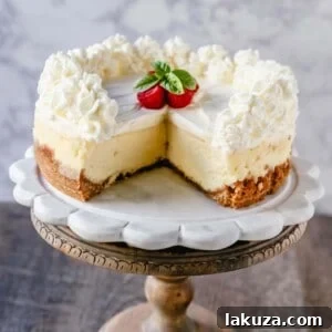 The Best Cheesecake Recipe: How to make the creamiest, dreamiest, richest vanilla cheesecake with a buttery graham cracker crust. All of the tips and tricks for making the perfect cheesecake!