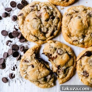 Tropical Chocolate Chip Coconut Cookies 6 Chocolate Chip Coconut Cookies