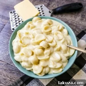 Panera Copycat White Cheddar Macaroni and Cheese