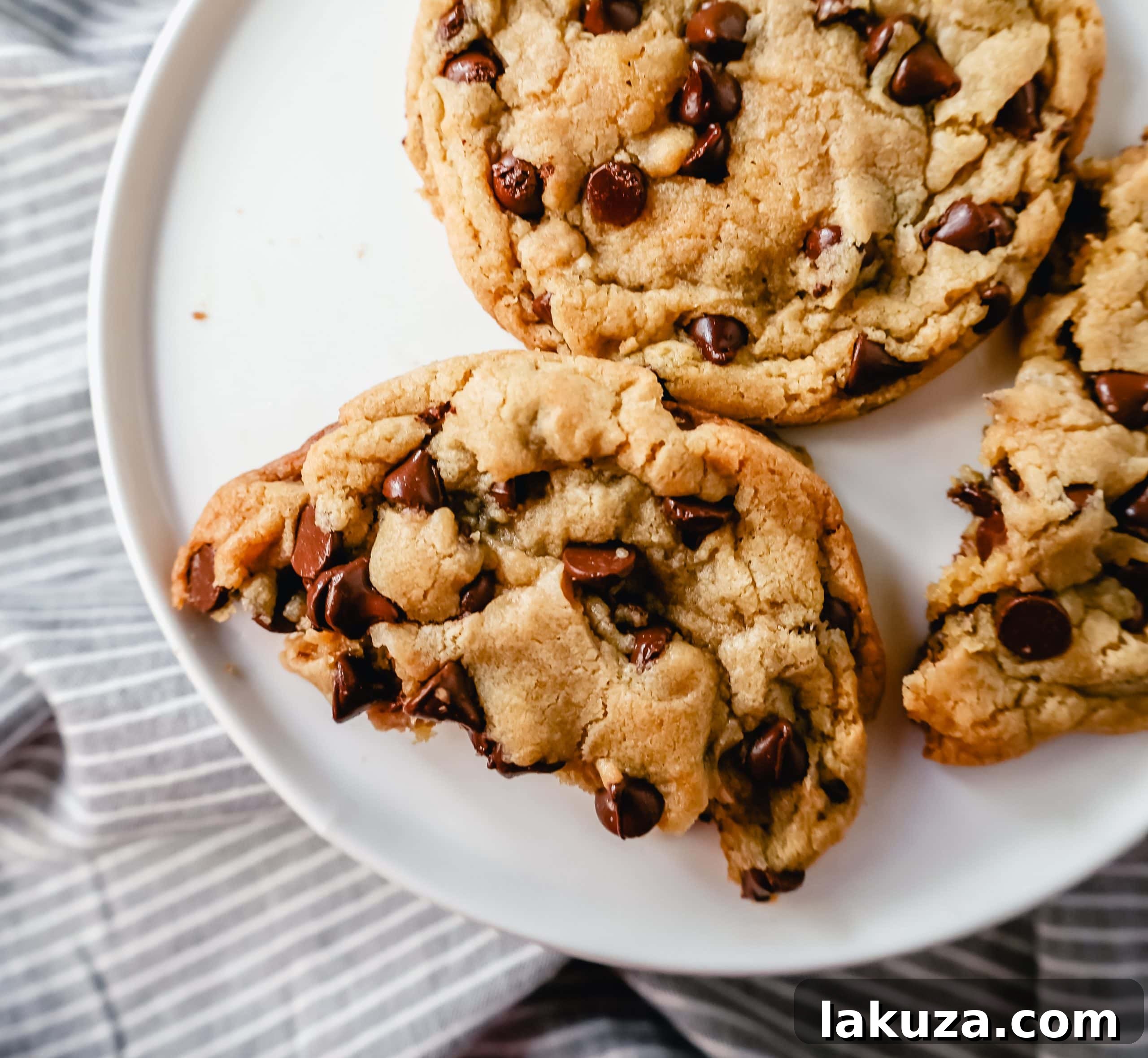 Sweetheart Chocolate Chip Cookies for Two 3 Close-up of a perfectly baked chocolate chip cookie with melted chocolate chips, highlighting its chewy texture.