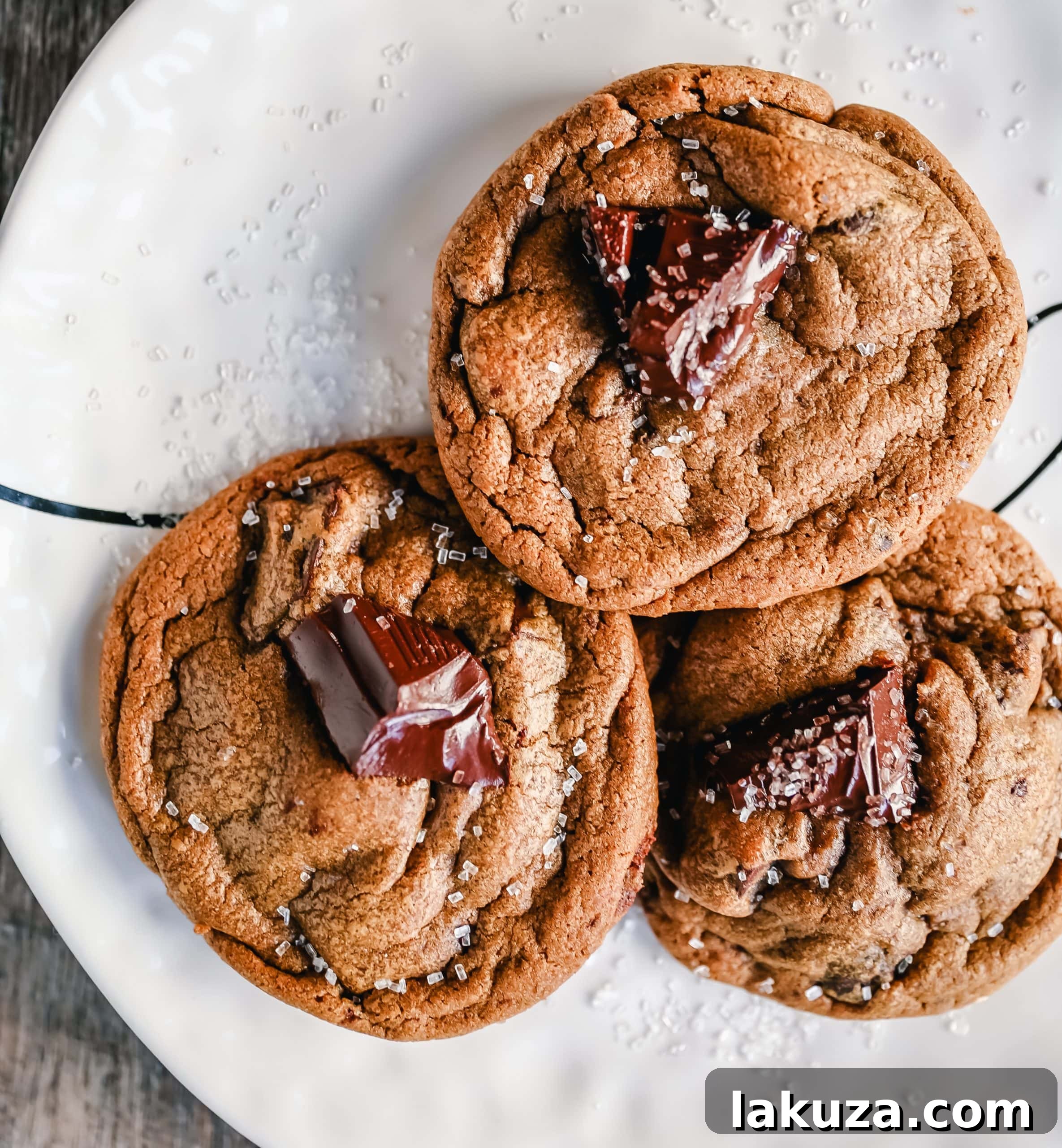 Spiced Molasses Cookies with Melty Chocolate Chunks 2 Delicious Chocolate Chunk Molasses Ginger Cookies fresh from the oven, perfect for holiday gatherings.