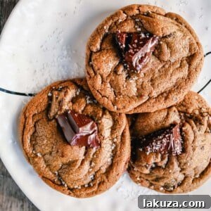 Spiced Molasses Cookies with Melty Chocolate Chunks 7 Chocolate Chunk Molasses Ginger Cookies