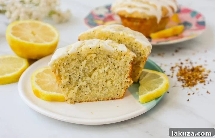 The most tender, moist, light, fluffy, and tangy lemon poppyseed muffins with a sweet lemon glaze. The best lemon poppyseed muffin recipe!