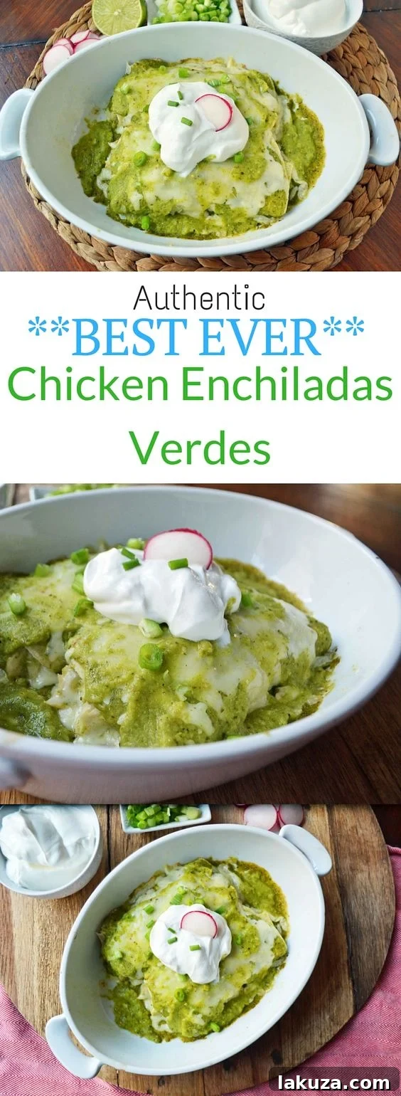 The Best Ever Chicken Enchiladas Verdes recipe