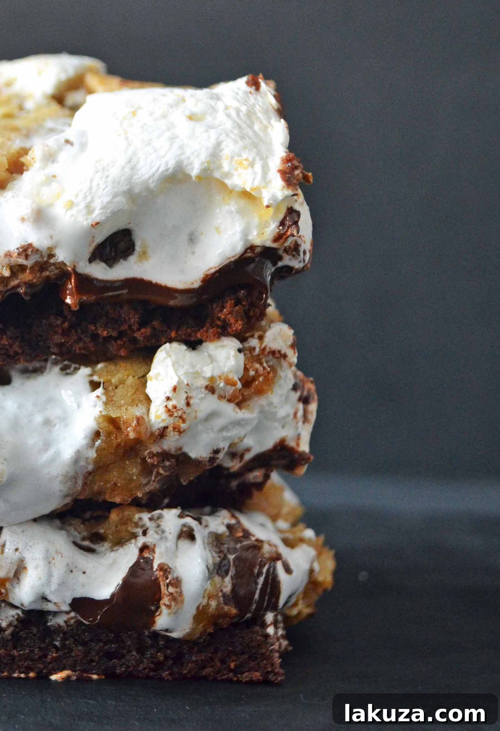 Individual S'mores Brownie Bar ready to be served