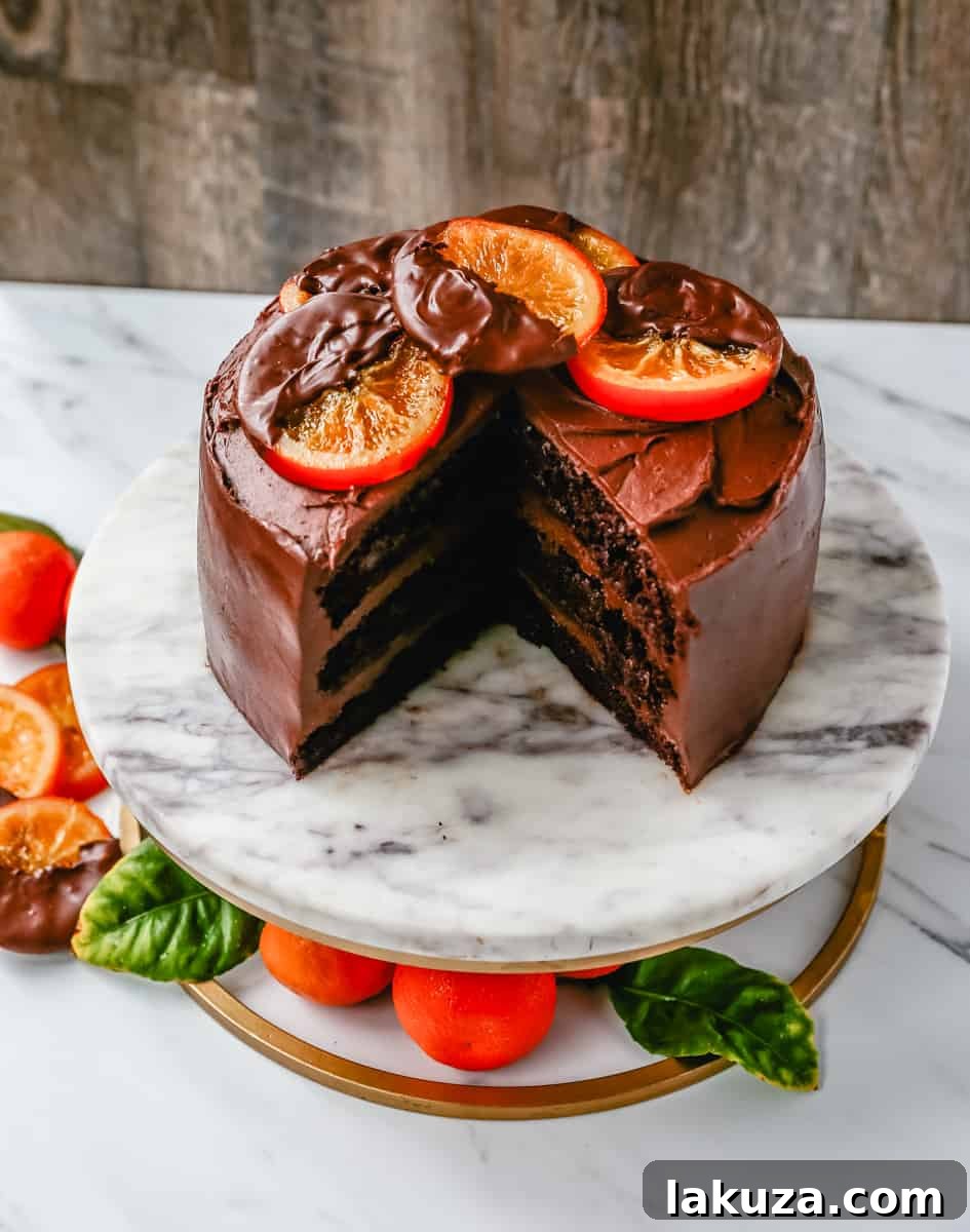 A slice of moist, decadent chocolate orange cake with a creamy chocolate orange frosting, garnished with chocolate-dipped dried orange slices.