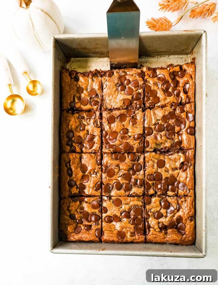 Pumpkin Chocolate Chip Bars are moist, chewy pumpkin spiced bars with chocolate chips. These pumpkin chocolate chip blondies are soft and chewy and perfect for Fall.
