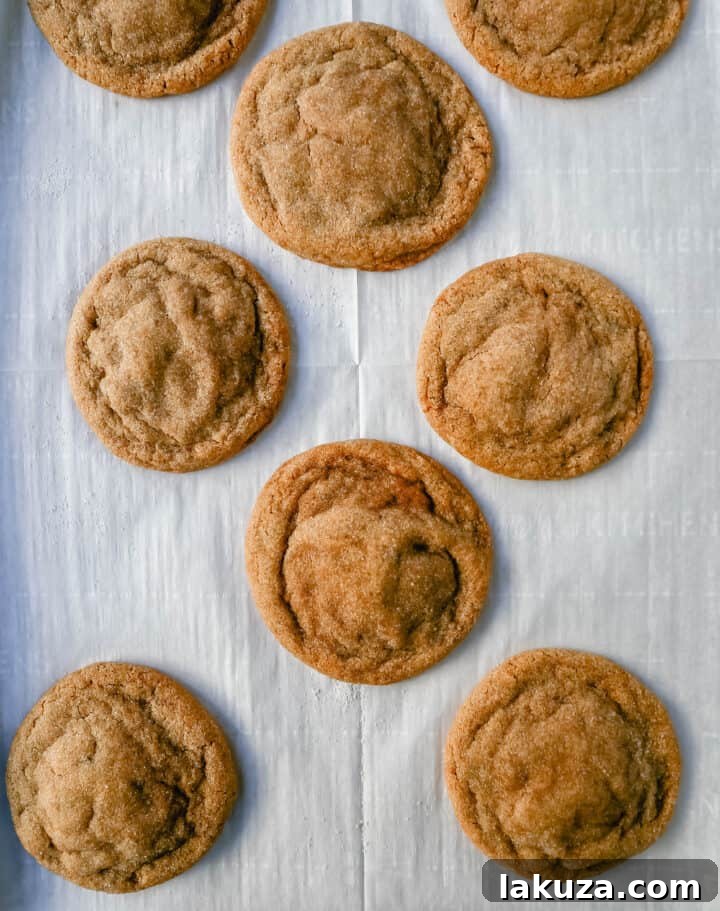 A close-up shot of a single perfect Brown Sugar Cookie on a plate, highlighting its texture.