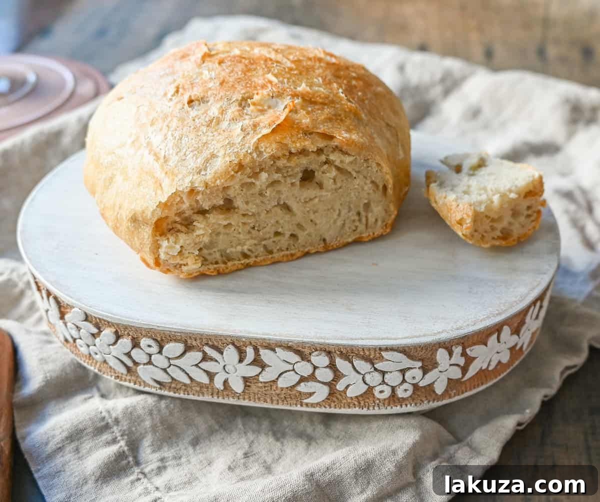 Effortless Overnight Artisan Loaf 3 Close-up of the perfectly crusted top of a No-Knead Dutch Oven Bread loaf, showcasing its rustic, artisan appeal. Baked golden brown, ready to be sliced and enjoyed.