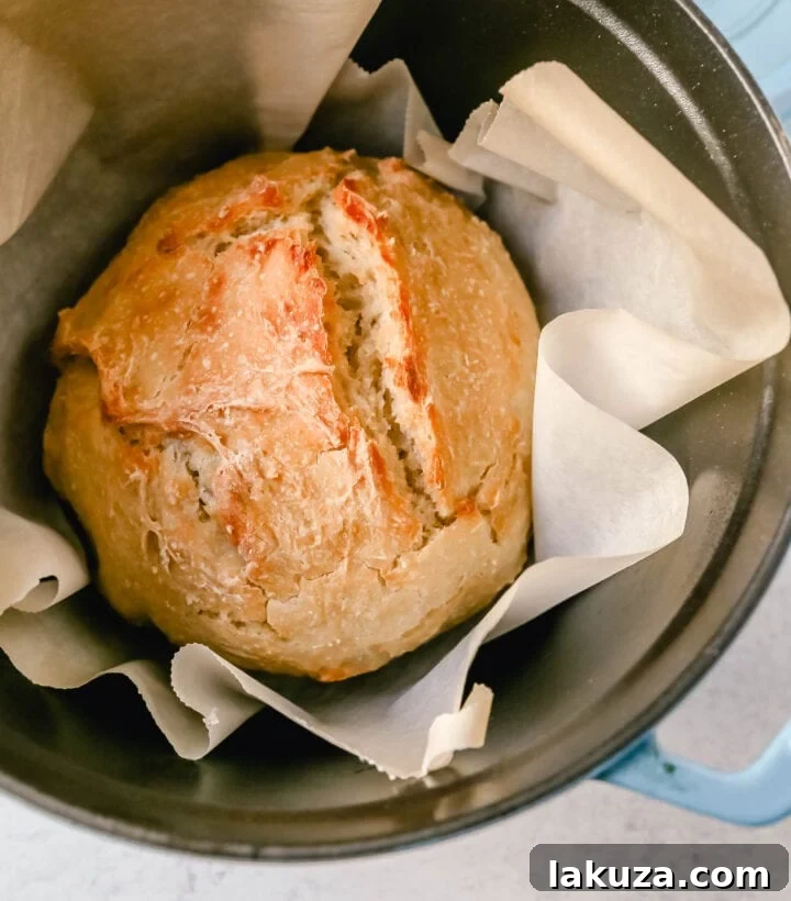 Effortless Overnight Artisan Loaf 8 A top-down view of a round, crusty no-knead bread loaf cooling on parchment paper on a cutting board, ready to be sliced and enjoyed.