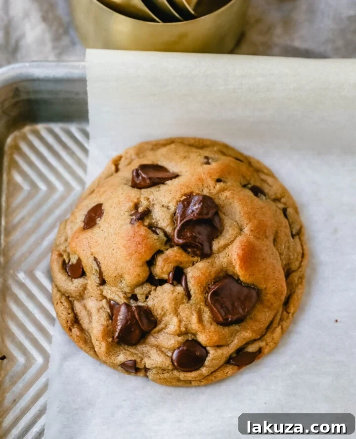 Bakery-Style Autumn Spiced Chocolate Chip Cookies 2 Soft, chewy Fall cookie with dark brown sugar, molasses, cinnamon, ginger, cloves, nutmeg, and chocolate chips for the perfect Autumn cookie. This is the perfect Fall spiced chocolate chip cookie recipe! Ultimate Fall Spiced Chocolate Chip Cookies