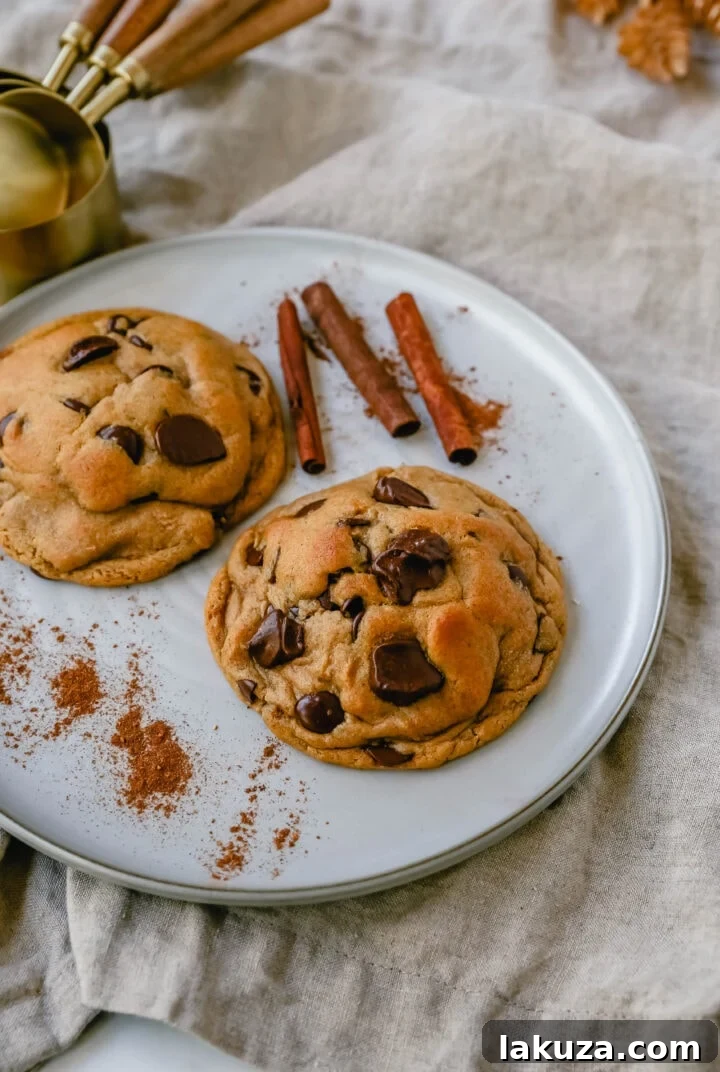 Bakery-Style Autumn Spiced Chocolate Chip Cookies 3 Soft, chewy Fall cookie with dark brown sugar, molasses, cinnamon, ginger, cloves, nutmeg, and chocolate chips for the perfect Autumn cookie. This is the perfect Fall spiced chocolate chip cookie recipe! Best Spiced Chocolate Chip Cookie Recipe.