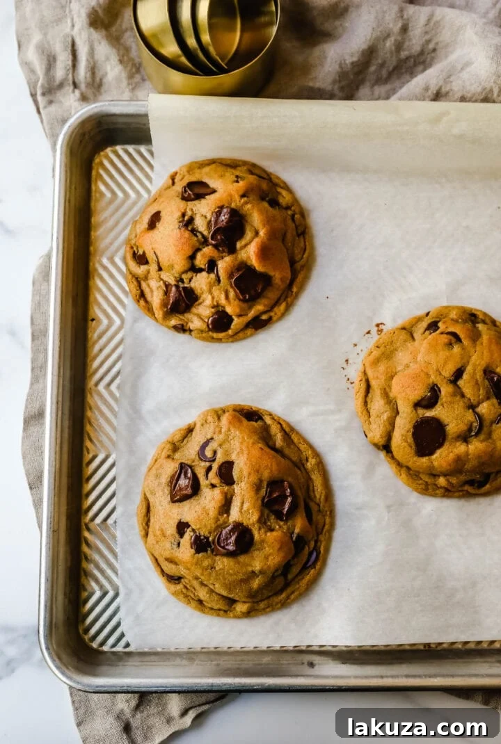 Bakery-Style Autumn Spiced Chocolate Chip Cookies 5 Soft, chewy Fall cookie with dark brown sugar, molasses, cinnamon, ginger, cloves, nutmeg, and chocolate chips for the perfect Autumn cookie. This is the perfect Fall spiced chocolate chip cookie recipe! Homemade Fall Cookies.