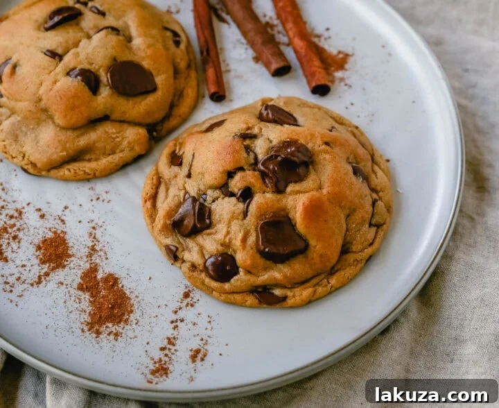 Bakery-Style Autumn Spiced Chocolate Chip Cookies 6 Soft, chewy Fall cookie with dark brown sugar, molasses, cinnamon, ginger, cloves, nutmeg, and chocolate chips for the perfect Autumn cookie. This is the perfect Fall spiced chocolate chip cookie recipe! Spiced Molasses Cookies.
